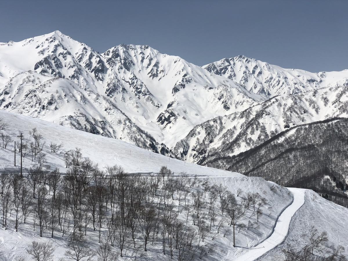 Hakuba Landmark Iwatake Lodge エクステリア 写真